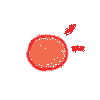 太阳.gif